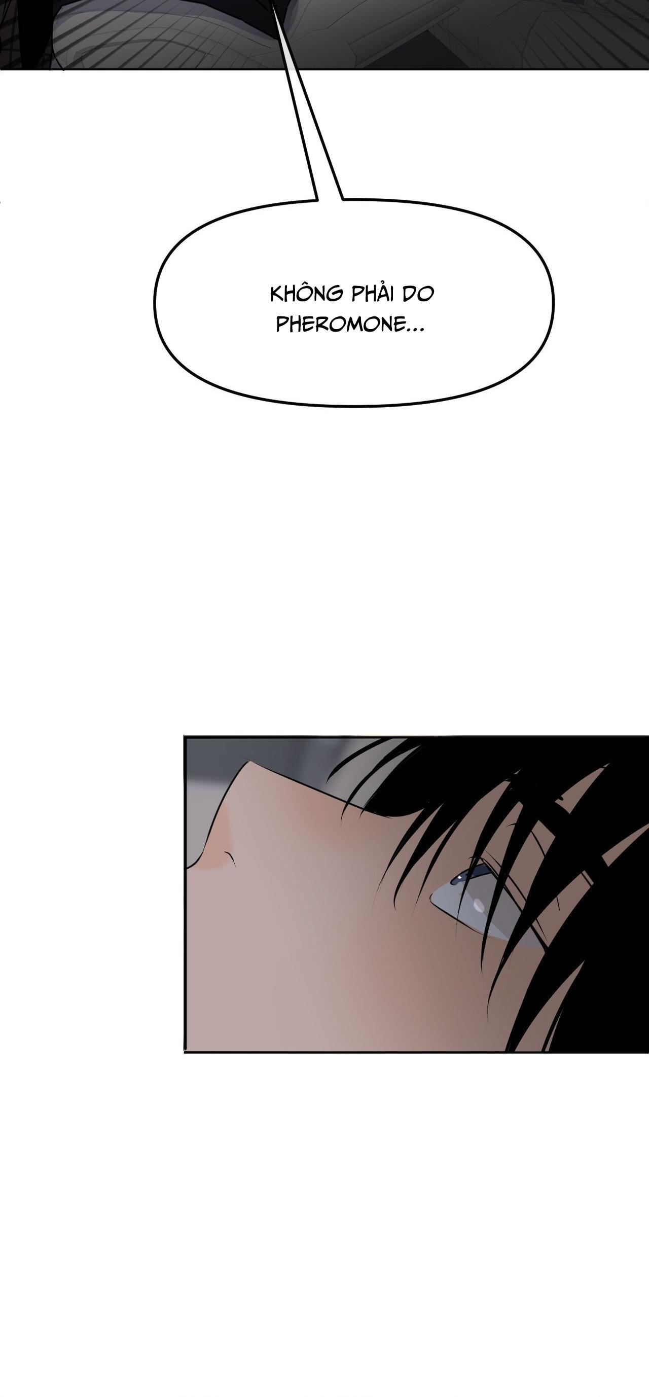 Đọc truyện RANH GIỚI CỦA MÙI HƯƠNG - Chapter 53